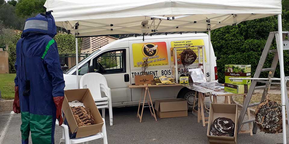 Fête du printemps, SOS HORNETS présent pour vous!!!